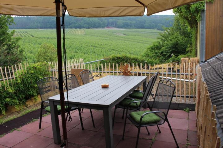 Appartement Foersters Weinterrassen *